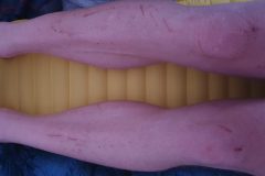 20210628_212717-scaled