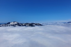 20210708_093444