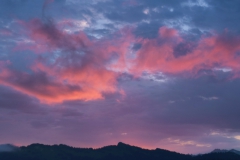 Resized_11599662