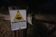 f137683456