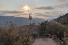 f138699264