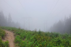 20210717_064659