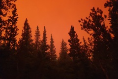 20210817_163328