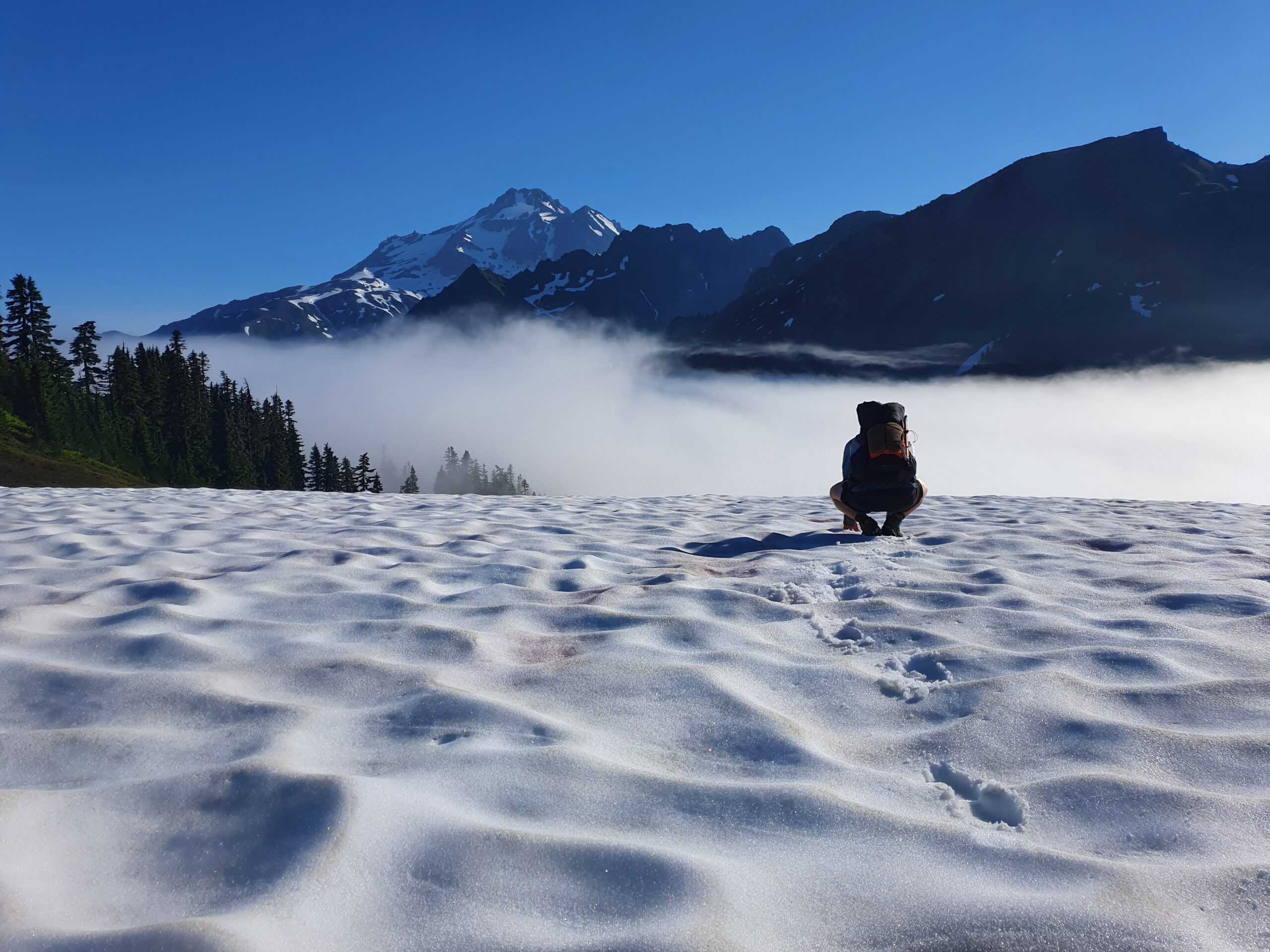 Die glacial Wilderness