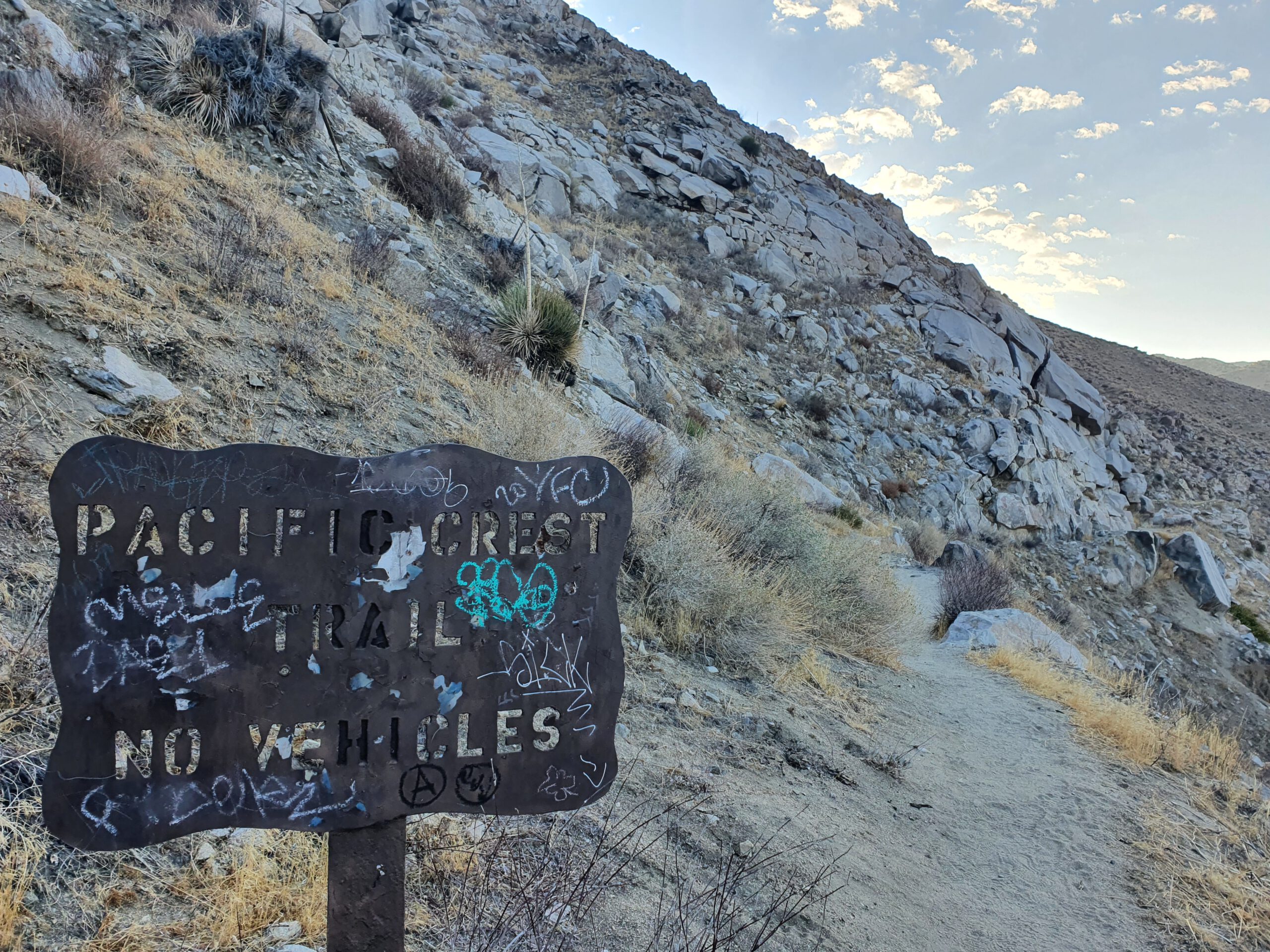 Mojave Desert